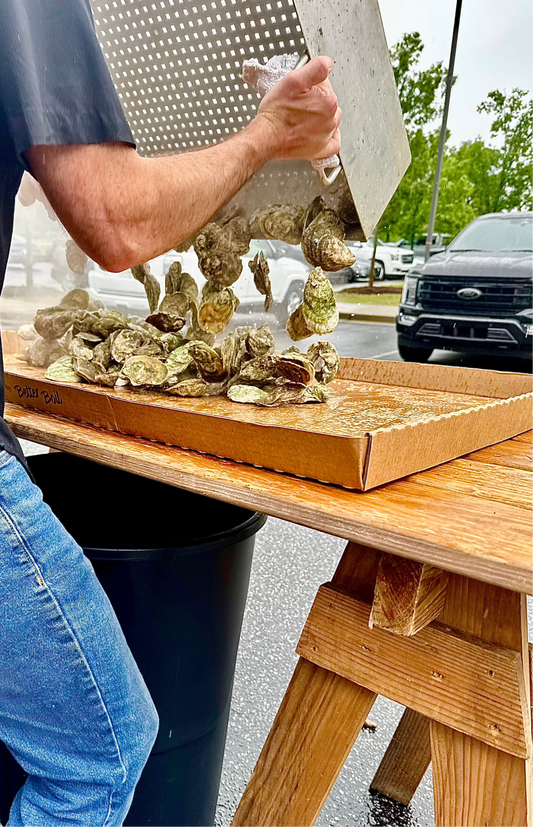 Table Topper - 4 Pack