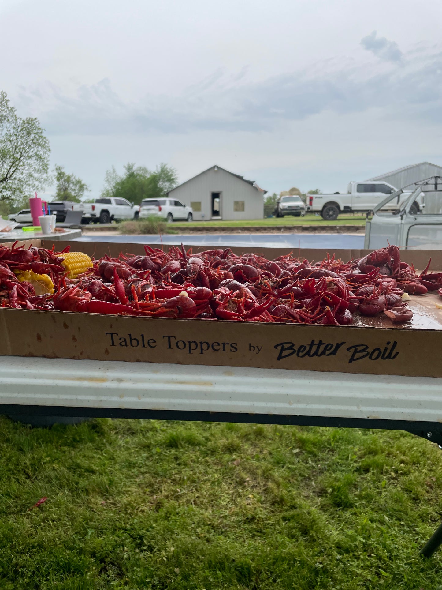 Table Topper - 2 Pack