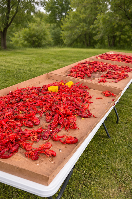 Table Topper - 2 Pack